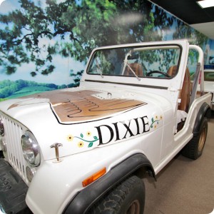 Cooters Dixie